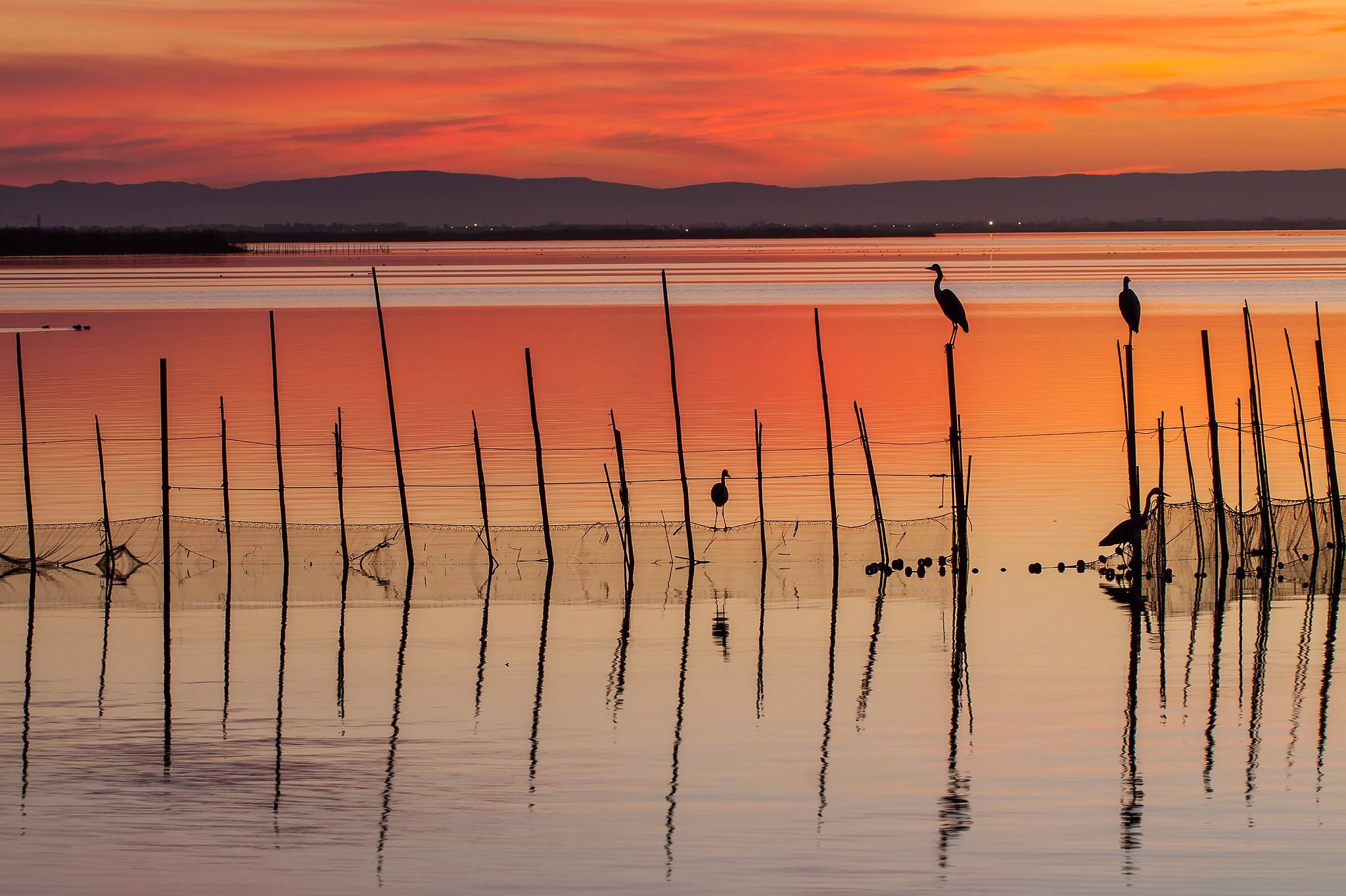 Albufera_de_Valencia_1.jpg